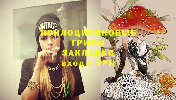 MDMA Premium VHQ Горнозаводск