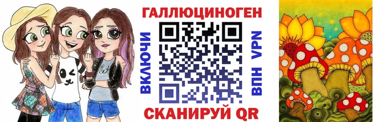 ссылка на мегу как войти  что такое наркотик  Чита  Галлюциногенные грибы Magic Shrooms 
